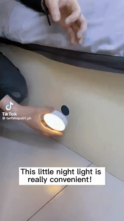 Motion Sensor LED Night Light